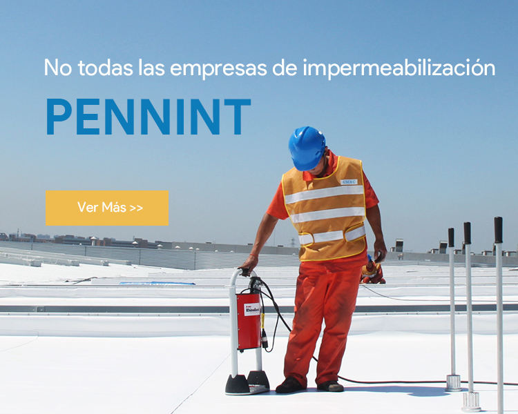 xi 3手机端banner 拷贝